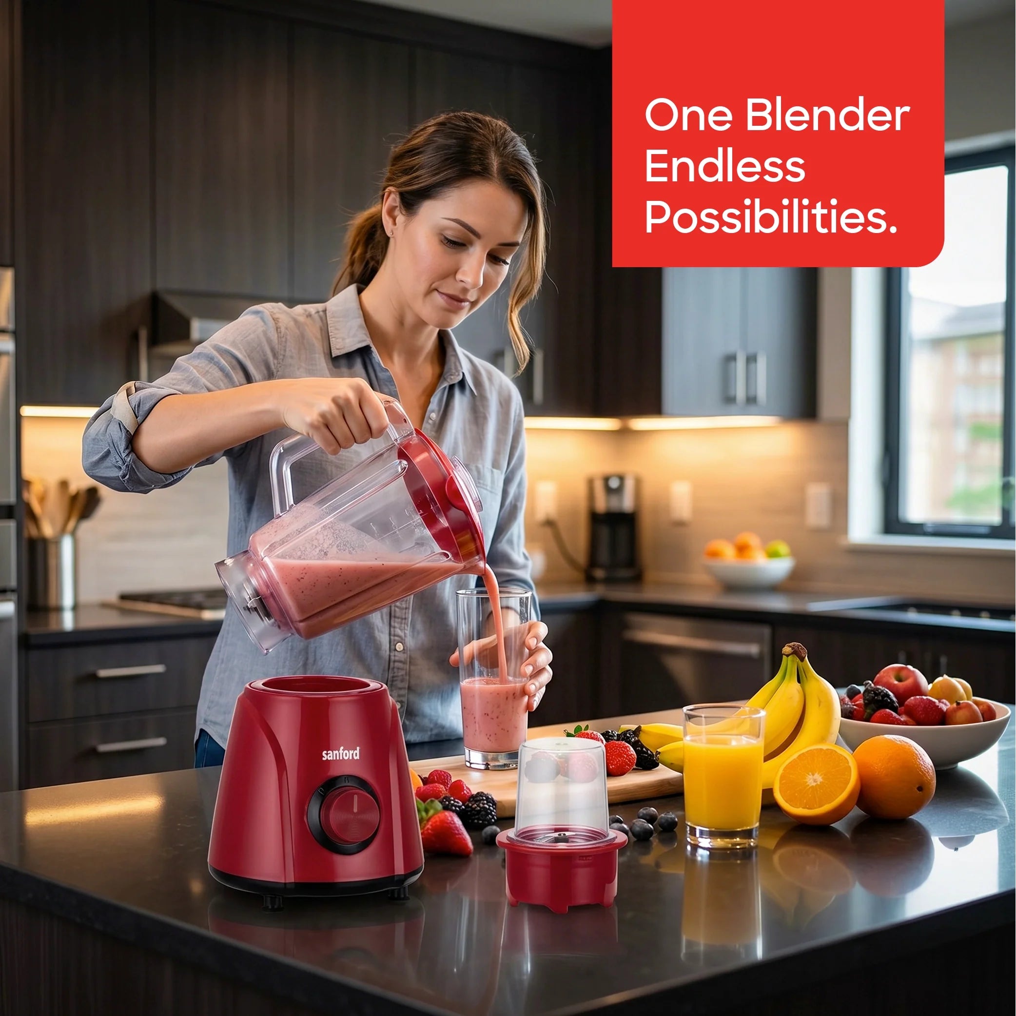2 in 1 blender grinder 400W stainless steel blades 1.6L jar sanford 2