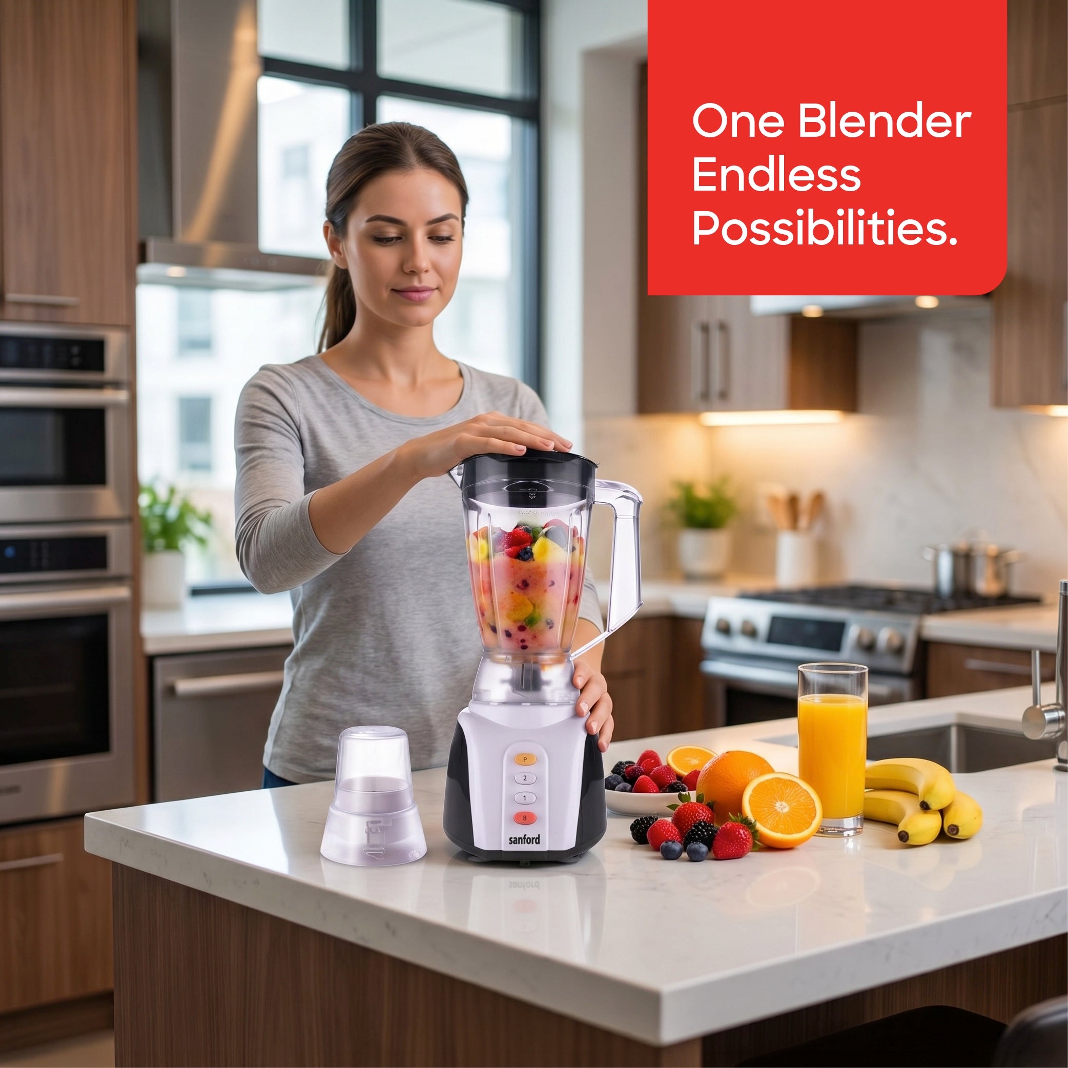 Sanford 2-in-1 Blender 1.6L 650W with Dry Mill, Stainless Steel Blades - SF6842BR