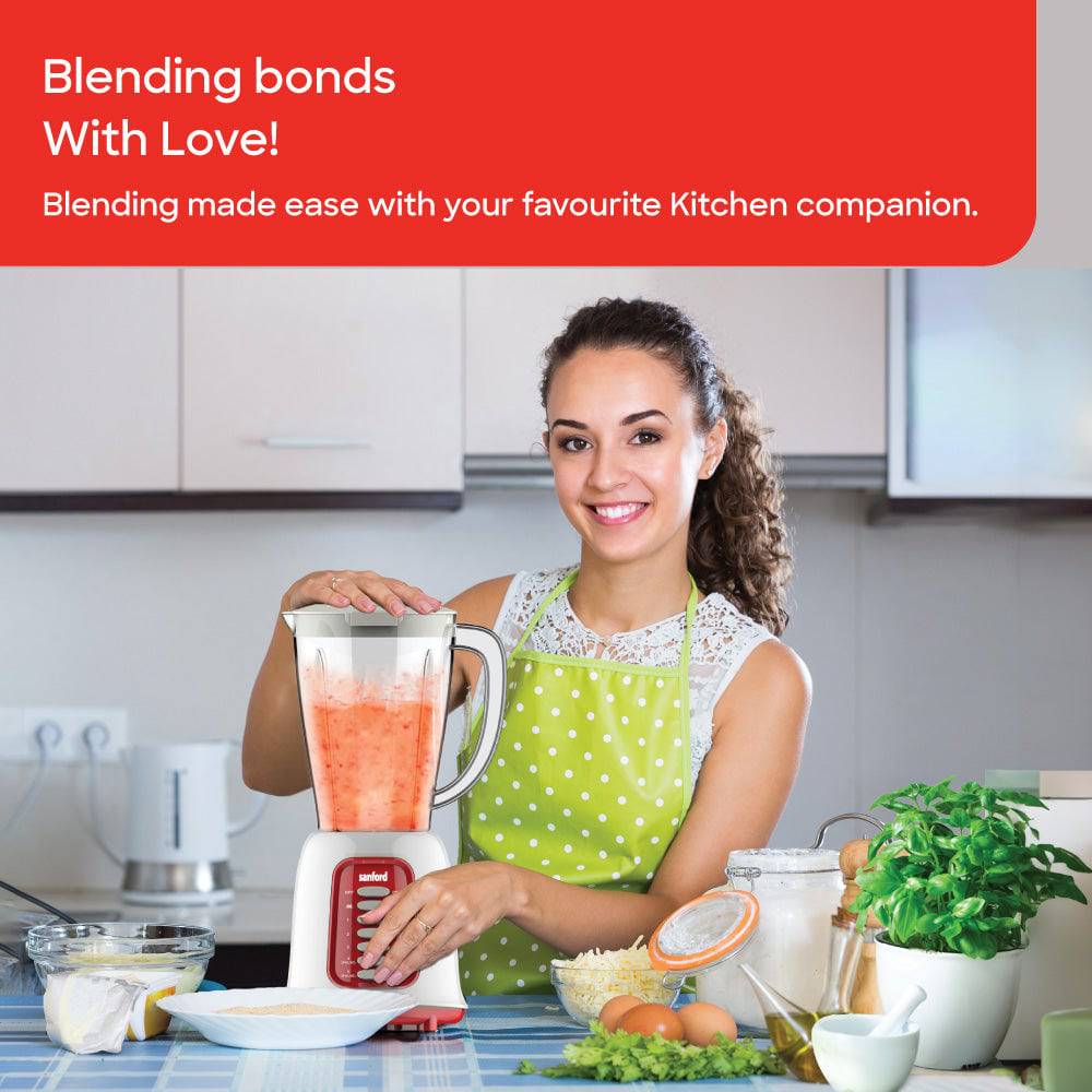 Sanford SF6820BR blender dry mill attachment detail